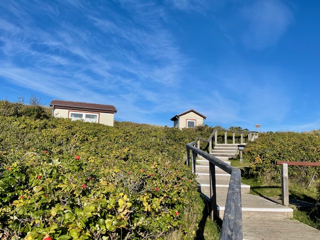 logo Akademie am Meer - Klappholttal auf SYLT